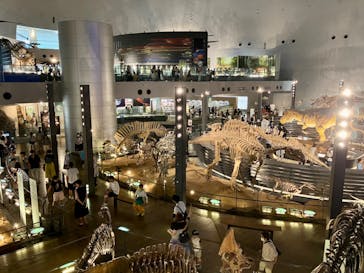 福井県立恐竜博物館に投稿された画像（2023/8/5）