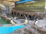 しながわ水族館に投稿された画像（2023/8/6）