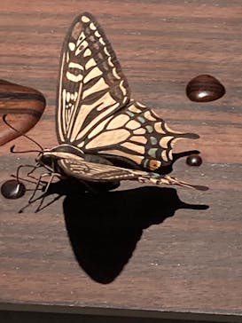 あべのハルカス美術館に投稿された画像（2023/8/5）