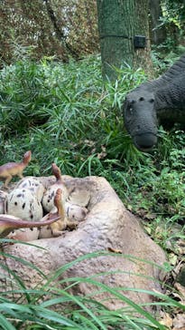 安城産業文化公園デンパークに投稿された画像（2023/8/5）