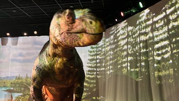 福井県立恐竜博物館に投稿された画像（2023/8/5）