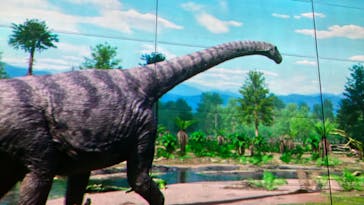 福井県立恐竜博物館に投稿された画像（2023/8/5）