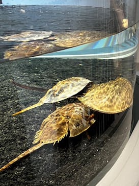 AOAO SAPPOROに投稿された画像（2023/8/5）