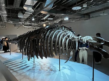 AOAO SAPPOROに投稿された画像（2023/8/5）