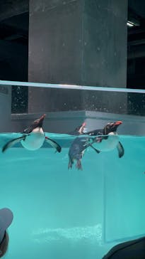 AOAO SAPPOROに投稿された画像（2023/8/5）