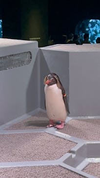 AOAO SAPPOROに投稿された画像（2023/8/5）