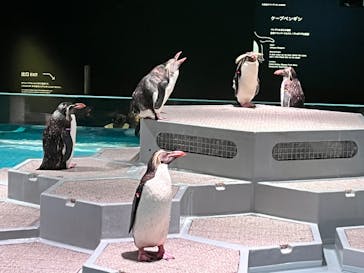 AOAO SAPPOROに投稿された画像（2023/8/5）