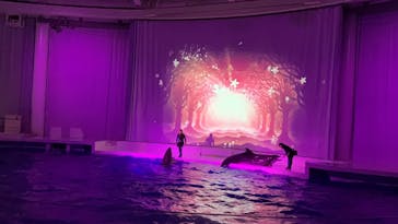 アクアワールド茨城県大洗水族館に投稿された画像（2023/8/5）