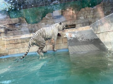 東武動物公園に投稿された画像（2023/8/5）