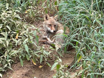 東武動物公園に投稿された画像（2023/8/5）