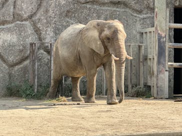 東武動物公園に投稿された画像（2023/8/5）