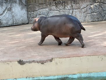 東武動物公園に投稿された画像（2023/8/5）