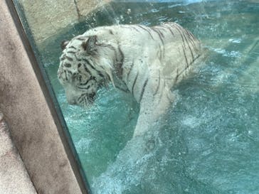 東武動物公園に投稿された画像（2023/8/5）