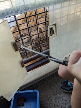 群馬サファリパークに投稿された画像（2023/8/6）