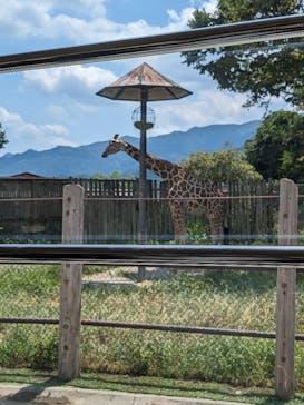 群馬サファリパークに投稿された画像（2023/8/6）