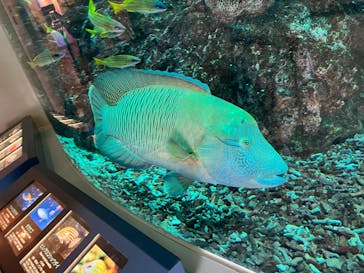 登別マリンパークニクスに投稿された画像（2023/8/6）