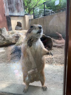 到津の森公園に投稿された画像（2023/8/6）