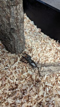 JOYPOLIS 特別イベントスペースに投稿された画像（2023/8/6）