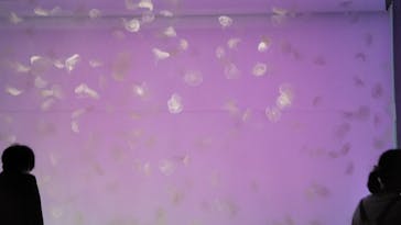 アクアワールド茨城県大洗水族館に投稿された画像（2023/8/6）