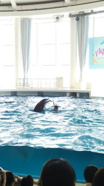 アクアワールド茨城県大洗水族館に投稿された画像（2023/8/6）