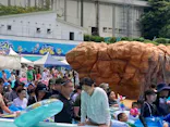 日本モンキーパークに投稿された画像（2023/8/6）