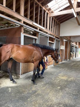 ノーザンホースパークに投稿された画像（2023/8/6）