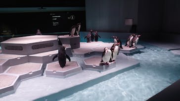 AOAO SAPPOROに投稿された画像（2023/8/6）