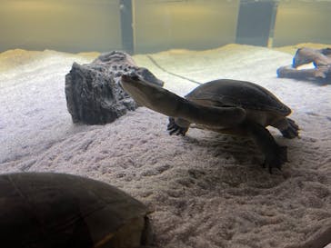 AOAO SAPPOROに投稿された画像（2023/8/6）