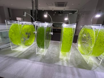 AOAO SAPPOROに投稿された画像（2023/8/6）