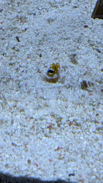 すみだ水族館に投稿された画像（2023/8/6）