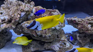 すみだ水族館に投稿された画像（2023/8/6）