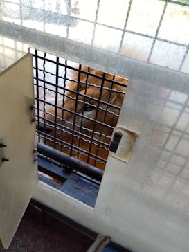 群馬サファリパークに投稿された画像（2023/8/6）