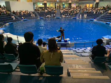 マクセル アクアパーク品川に投稿された画像（2023/8/6）