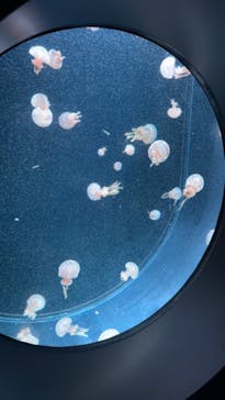 AOAO SAPPOROに投稿された画像（2023/8/6）