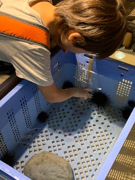 新江ノ島水族館に投稿された画像（2023/8/6）