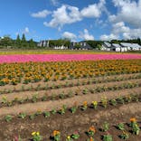 牧歌の里に投稿された画像（2023/8/6）