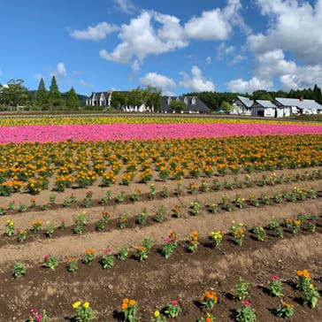 牧歌の里に投稿された画像（2023/8/6）