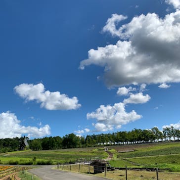 牧歌の里に投稿された画像（2023/8/6）