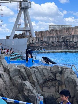 名古屋港水族館に投稿された画像（2023/8/6）