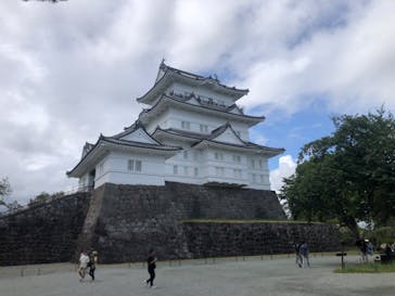 小田原城に投稿された画像（2023/8/6）