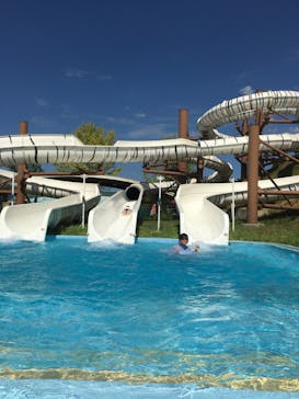 東武動物公園に投稿された画像（2023/8/6）