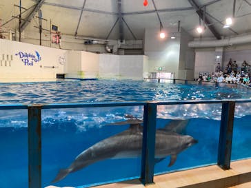 登別マリンパークニクスに投稿された画像（2023/8/6）