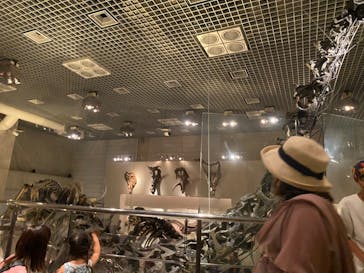 国立科学博物館に投稿された画像（2023/8/6）