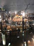 福井県立恐竜博物館に投稿された画像（2023/8/6）