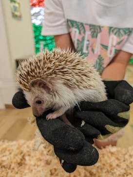 いきもの探検隊湘南に投稿された画像（2023/8/6）