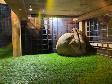 ぶっとんでるいきもの展に投稿された画像（2023/8/6）