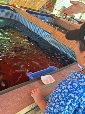 西武園ゆうえんちに投稿された画像（2023/8/6）