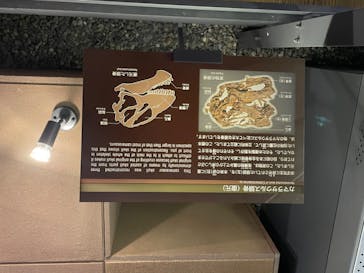 福井県立恐竜博物館に投稿された画像（2023/8/6）