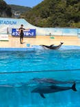 下田海中水族館に投稿された画像（2023/8/6）