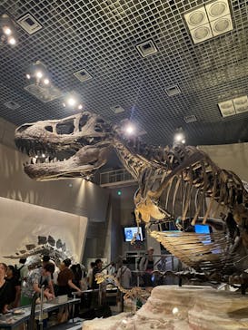 国立科学博物館に投稿された画像（2023/8/6）